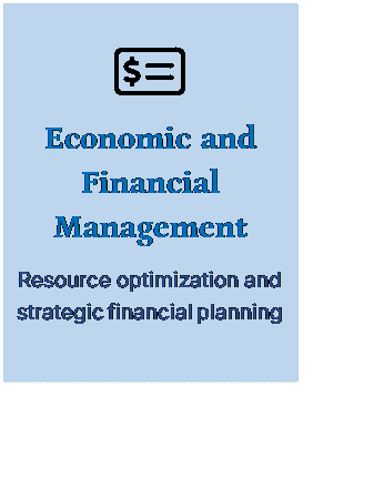 Cuadro de texto:  
Economic and Financial Management
Resource optimization and strategic financial planning
